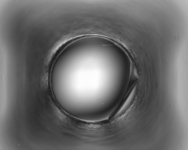 X0000087371503200704271446