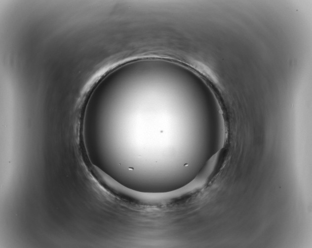 X0000087371504200704271446