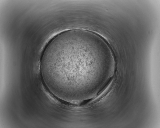 X0000087371507200704271446