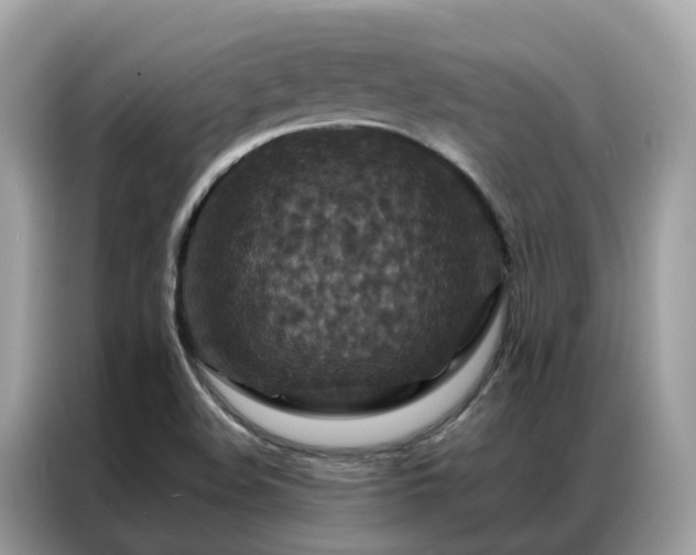 X0000087371508200704271446