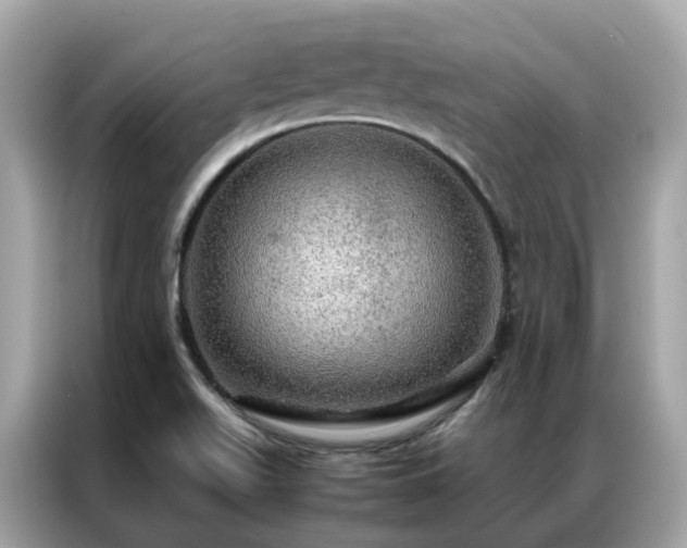 X0000087371511200704271446