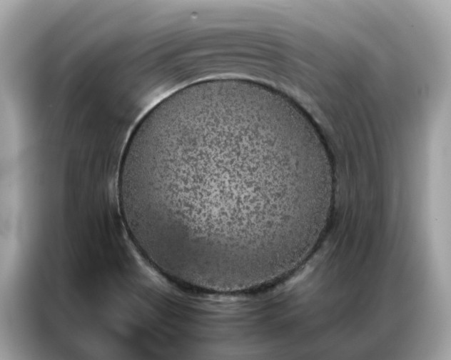 X0000087371513200704271446