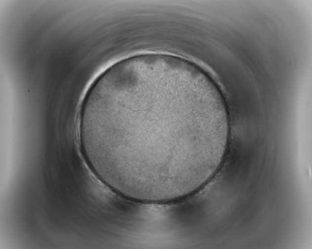 X0000087371514200704271446
