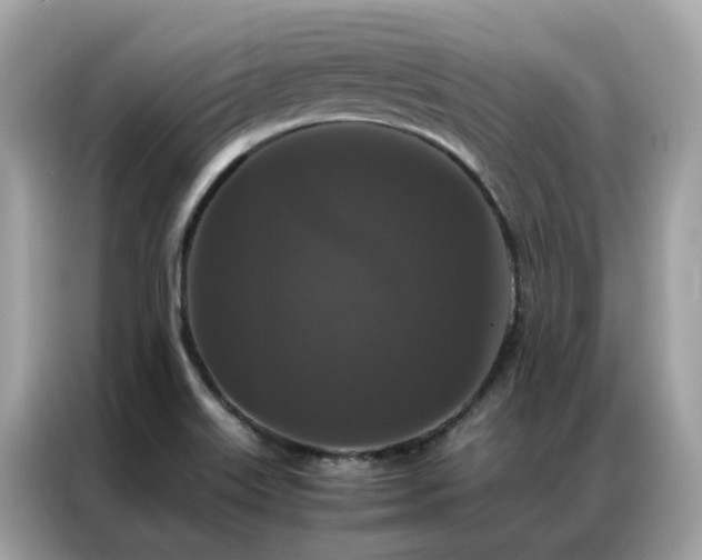 X0000087371515200704271446