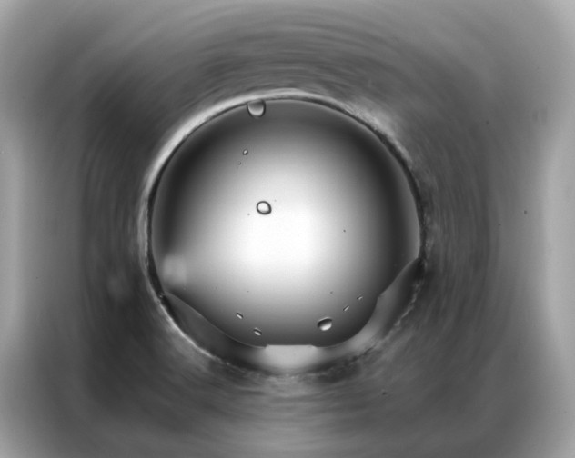 X0000087371516200704271446