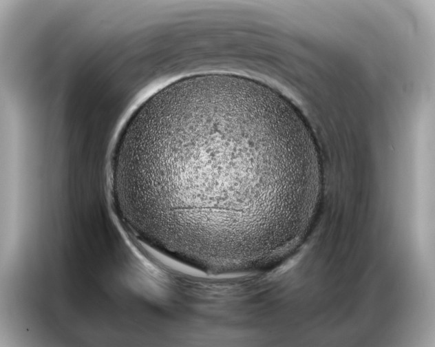 X0000087371517200704271446