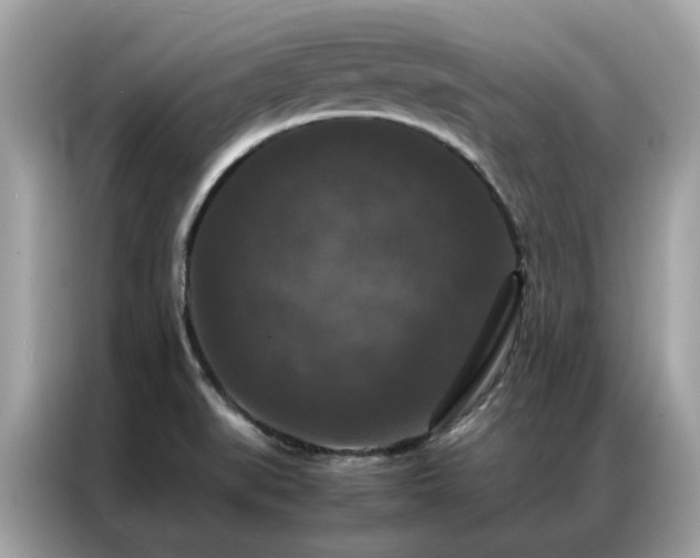 X0000087371519200704271446