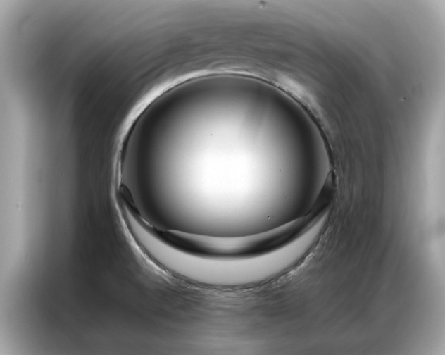 X0000087371520200704271446
