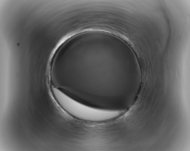 X0000087371522200704271446