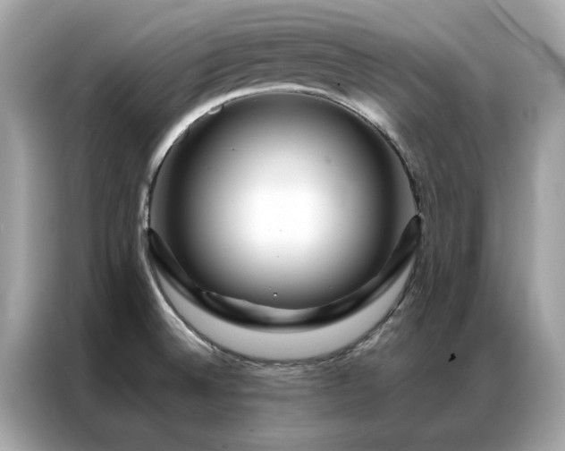 X0000087371524200704271446