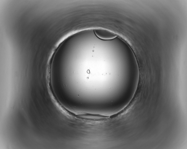 X0000087371526200704271446