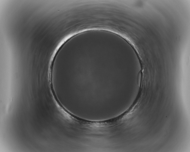 X0000087371527200704271446