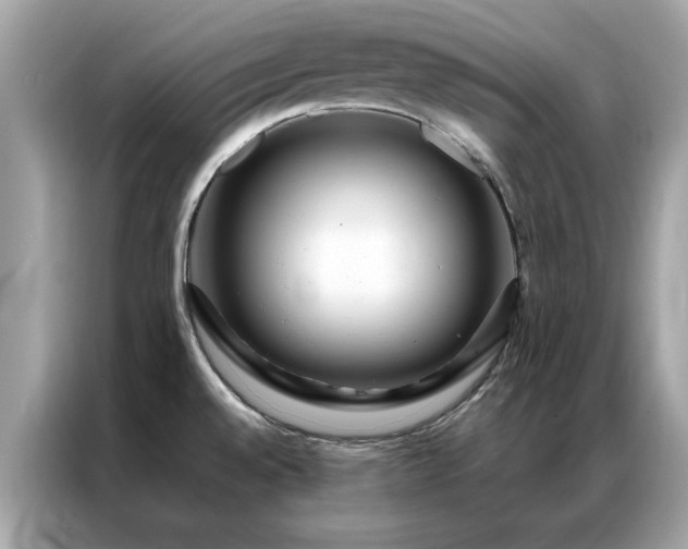 X0000087371528200704271446