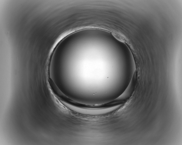 X0000087371530200704271446