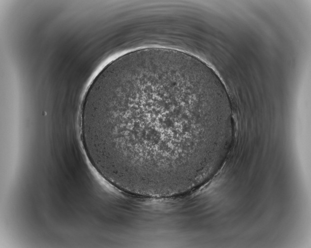 X0000087371531200704271446