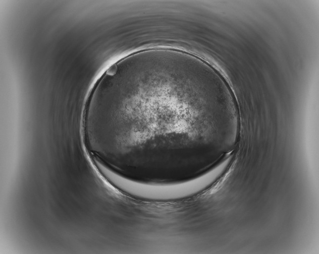 X0000087371533200704271446