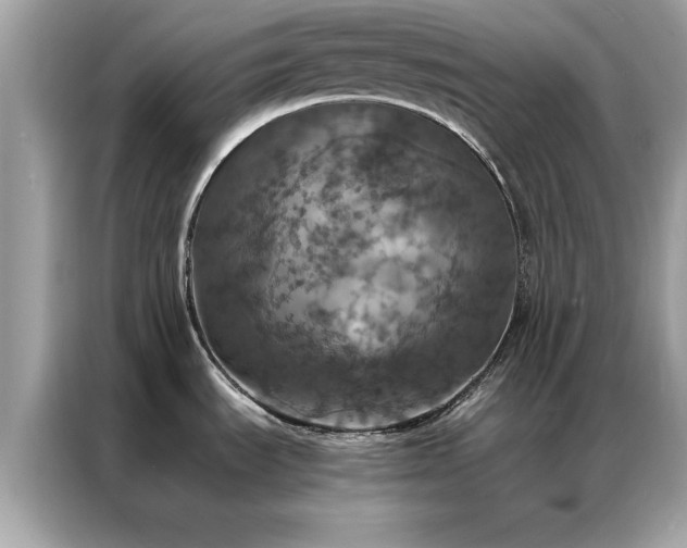 X0000087371535200704271446