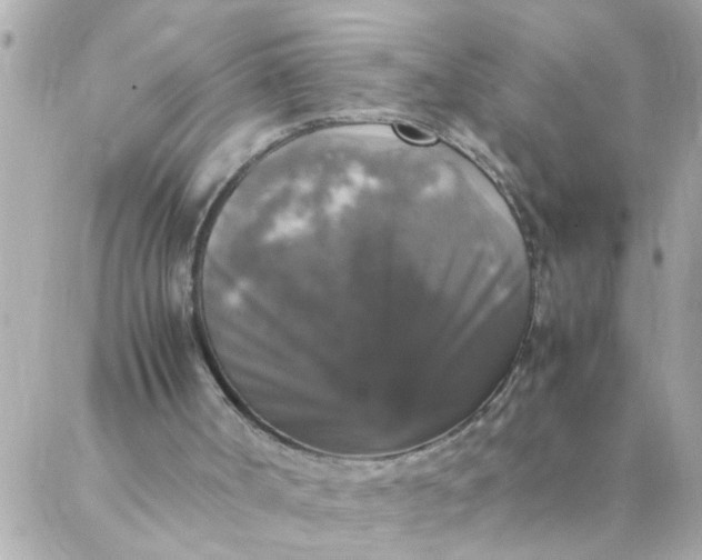 X0000087370002200705041932