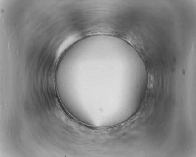 X0000087370004200705041932