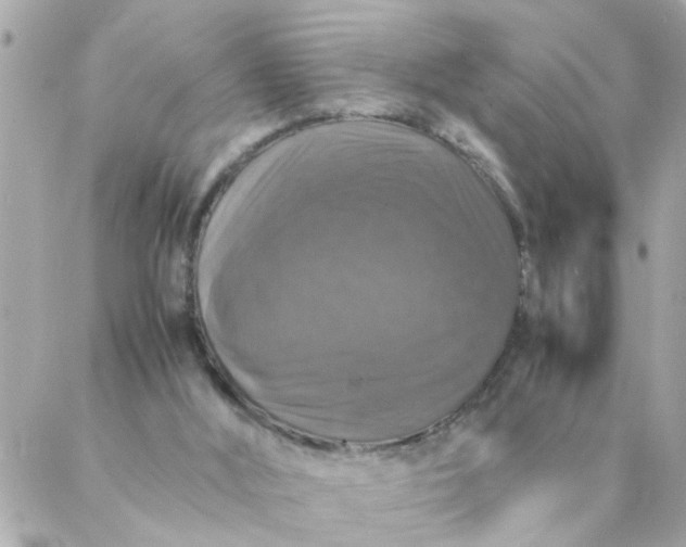 X0000087370012200705041932