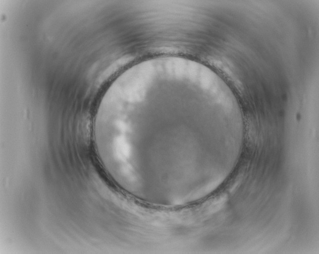 X0000087370016200705041931
