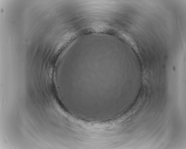 X0000087370018200705041931