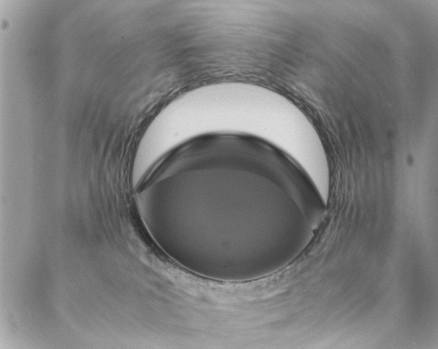 X0000087370039200705041931