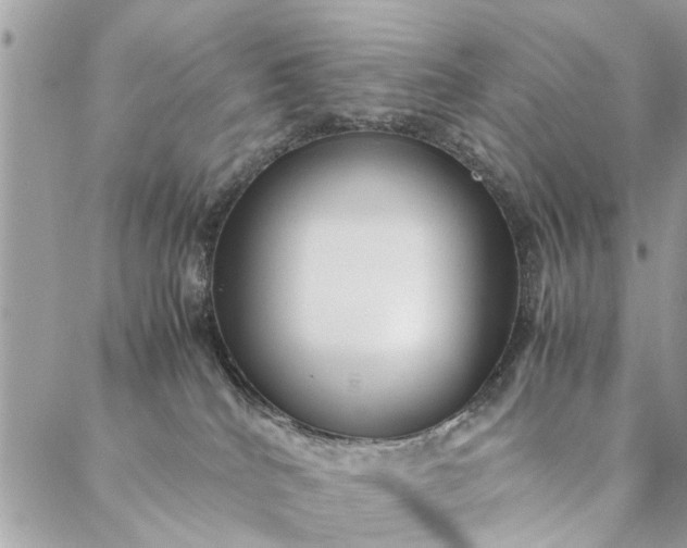 X0000087370040200705041931
