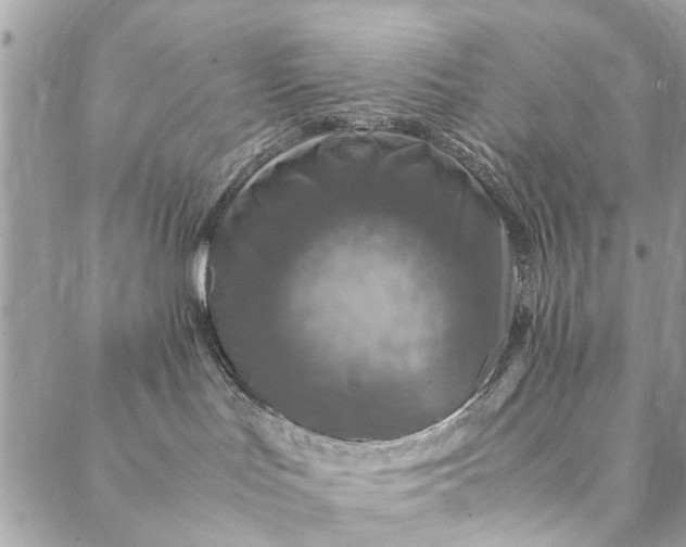 X0000087370047200705041931