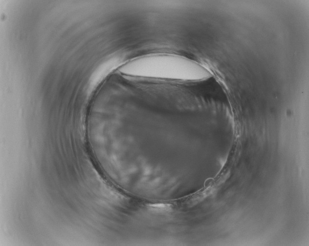 X0000087370053200705041930