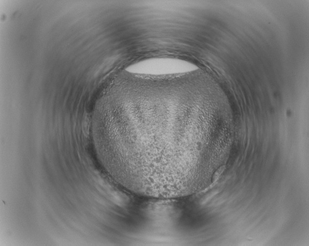 X0000087370078200705041931