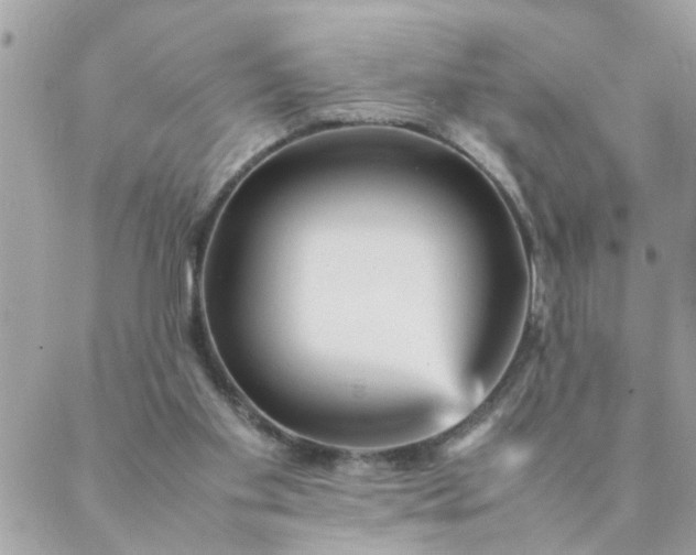 X0000087370109200705041930