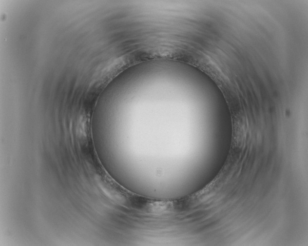 X0000087370126200705041930