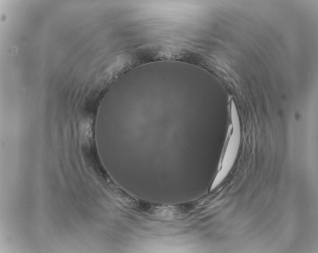 X0000087370127200705041930