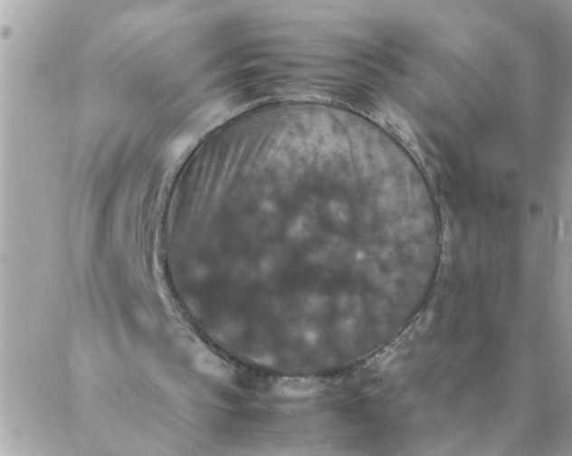 X0000087370145200705041929