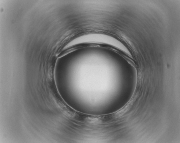X0000087370170200705041929
