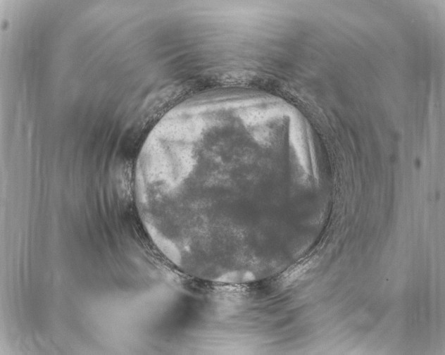 X0000087370240200705041928