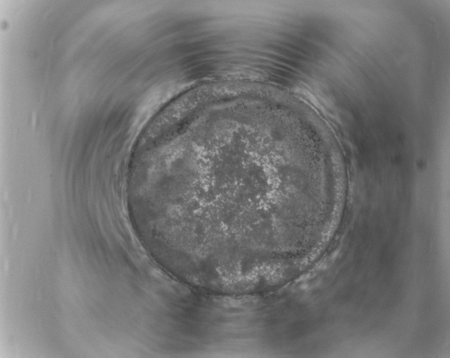 X0000087370241200705041927