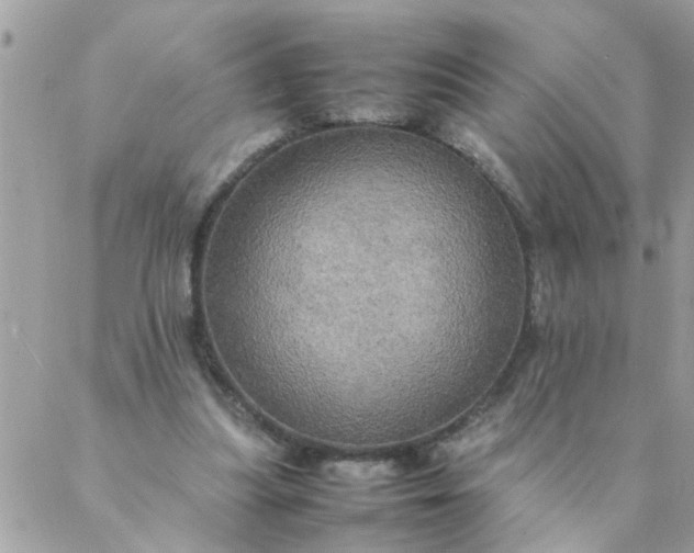 X0000087370251200705041927