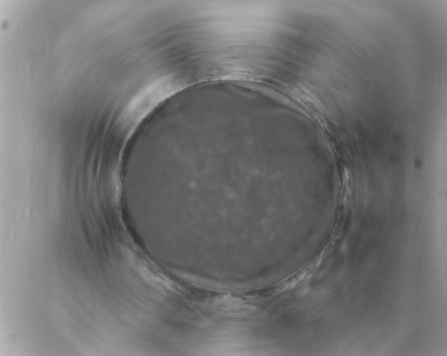 X0000087370290200705041927