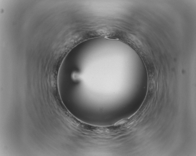 X0000087370317200705041927