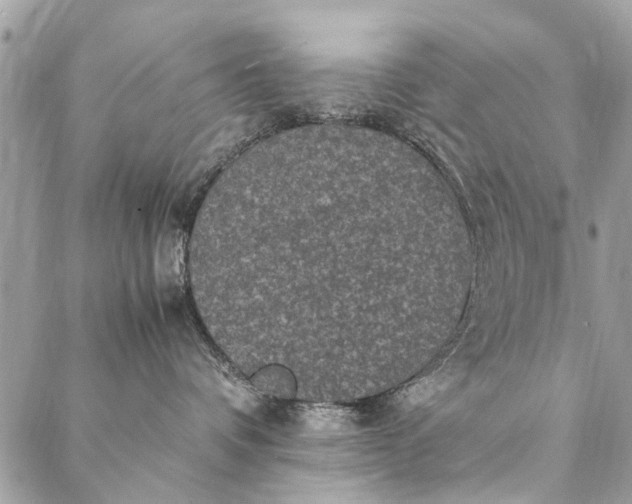 X0000087370336200705041926
