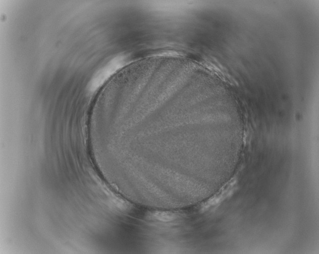 X0000087370341200705041926
