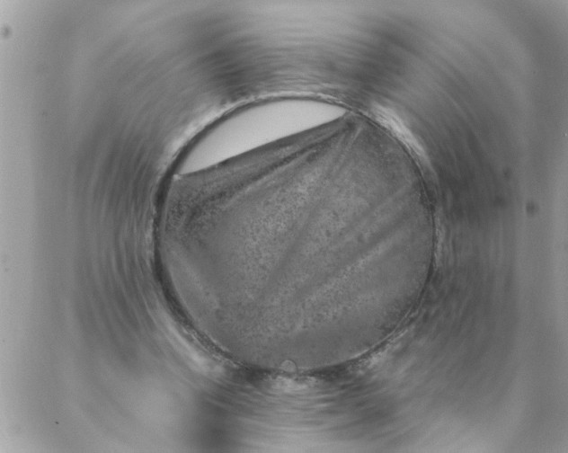 X0000087370346200705041926