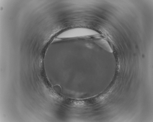 X0000087370355200705041926