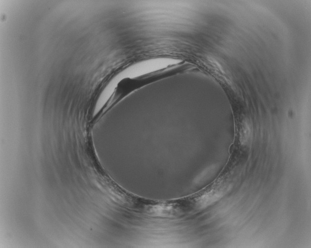 X0000087370366200705041926