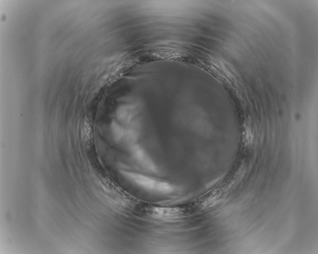 X0000087370371200705041926