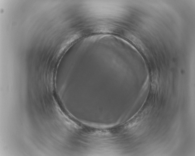 X0000087370386200705041925