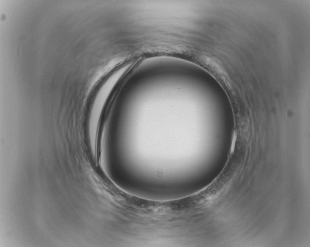 X0000087370395200705041925