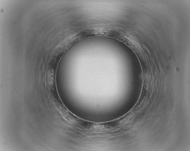 X0000087370413200705041925